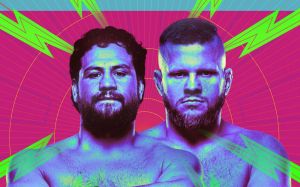 Результаты турнира UFC Fight Night 239