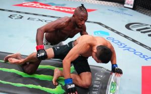 Результаты турнира UFC Fight Night 279