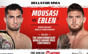 Результаты турнира Bellator 282