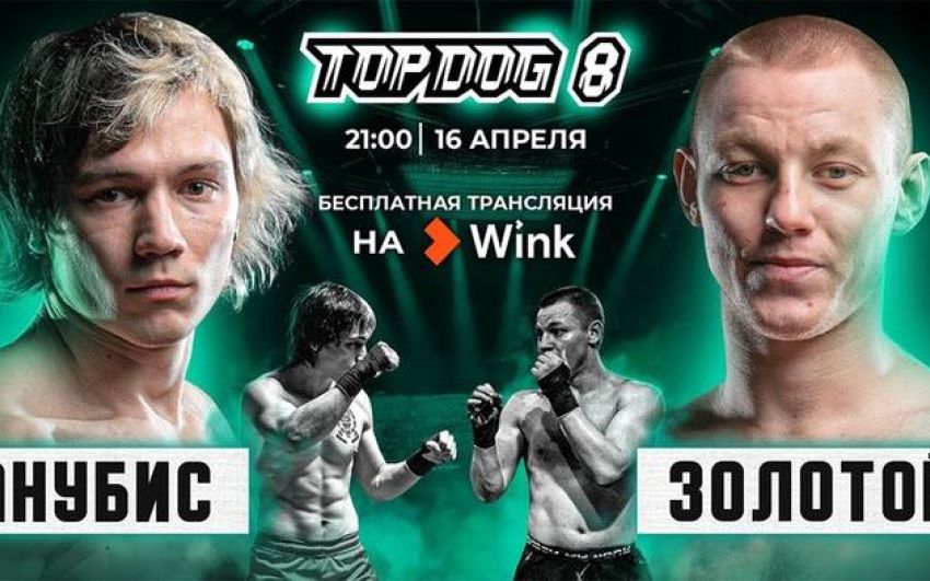 Top Dog FC 8. Смотреть онлайн прямой эфир
