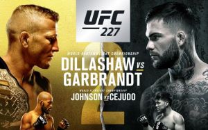Видео боев турнира UFC 227