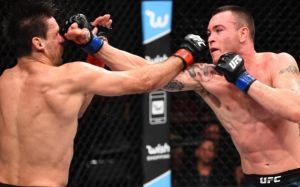 UFC продолжает терять телевизионную аудиторию