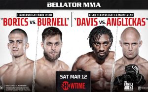Результаты турнира Bellator 276