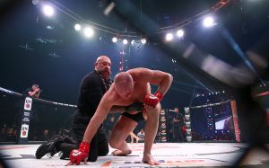 Фото турнира Bellator 214: Федор Емельяненко - Райан Бейдер