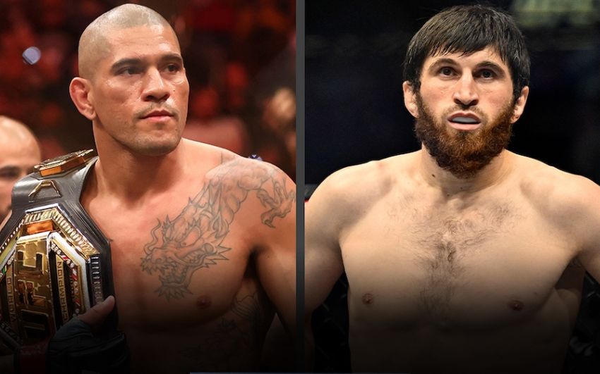 Бой Алекса Перейры и Магомеда Анкалаева возглавит турнир UFC 313