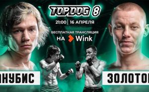 Top Dog FC 8. Смотреть онлайн прямой эфир