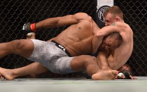 Фото турнира UFC Fight Night 150: Жакаре Соуза - Джек Херманссон
