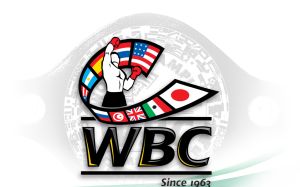 WBC анонсировал внедрение бонусной системы в титульных боях 