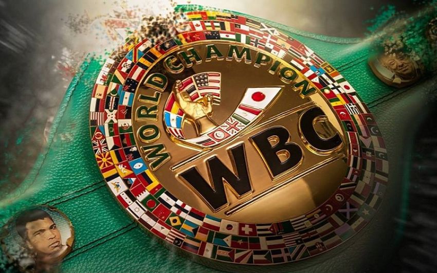 Рекомендации по питанию от диетолога WBC