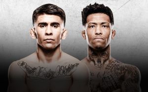 РП ММА №3 (UFC Fight Night 266 / PFL Dubai): 7-8 февраля