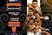 Прямая трансляция Fight Nights 141