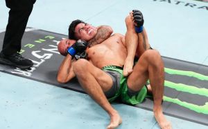 Результаты турнира UFC Fight Night 288