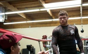 Альварес: бой Мейвезер — Пакьяо по-настоящему навредил боксу