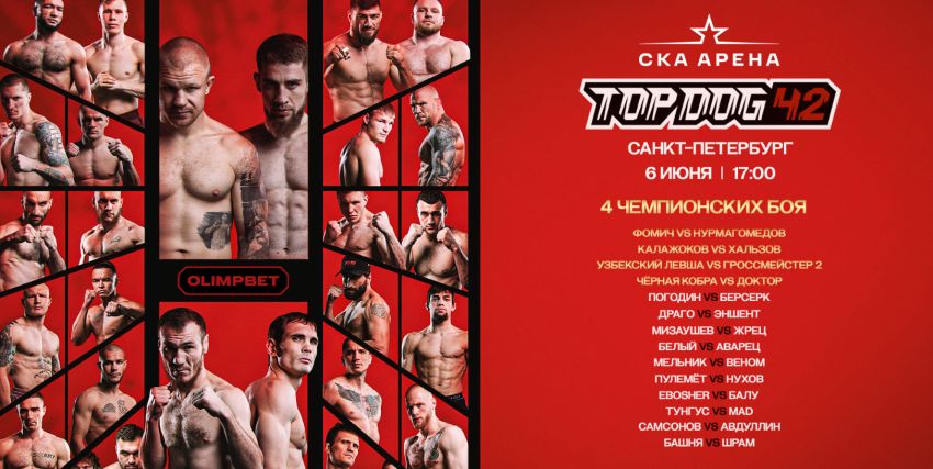 Прямая трансляция Top Dog 42