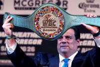 Глава WBC объяснил пользу франчайзингового чемпионства
