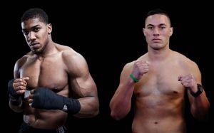 IBF: Джошуа должен встретиться с Паркером до 9 января 2017 года