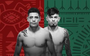 Результаты турнира UFC Fight Night 237
