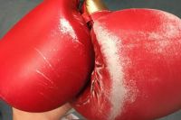 Федерация бокса Германии о жалобах на перчатки команды Чудинова