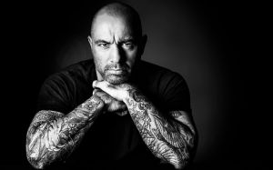 Джо Роган: "Миочич заслуживает реванша с Кормье"