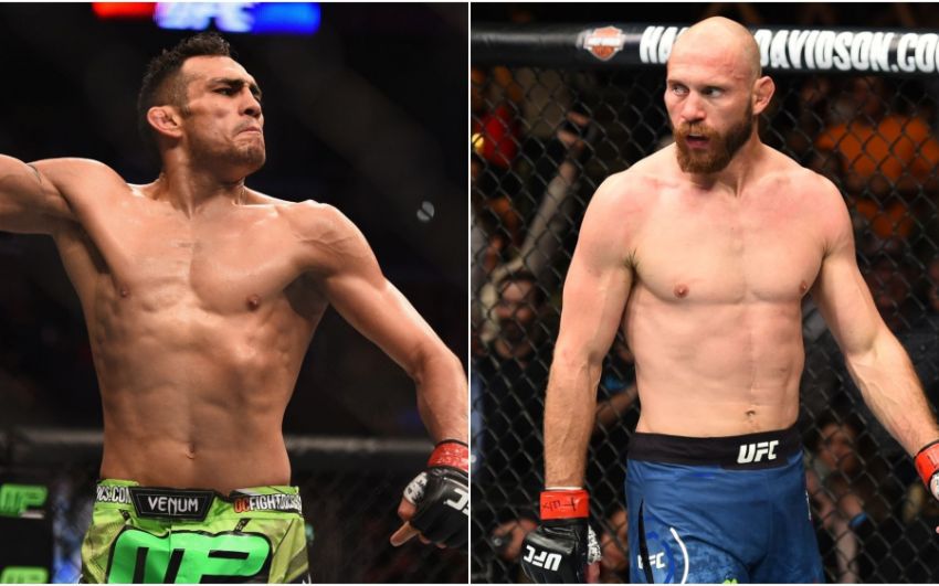 Прогноз на бой Тони Фергюсон - Дональд Серроне на UFC 238