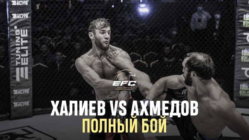 Видео боя Хасан Халиев – Юнус Ахмедов EFC 34