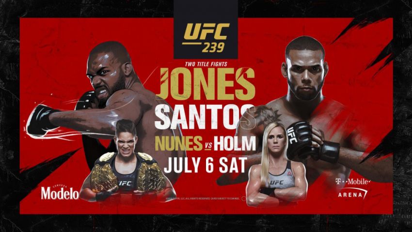 Прогноз на бой Джон Джонс - Тиаго Сантос на UFC 239