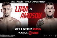 Файткард турнира Bellator 260