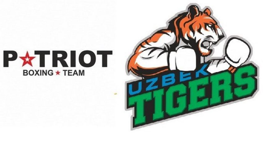 Прямая трансляция WSB: Patriot Boxing Team - Uzbek Tigers