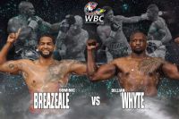 Постановление WBC: Диллиан Уайт и Доминик Бризил разыграют "временный" пояс