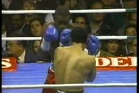 Terry Norris vs Luis Santana. Трилогия. 