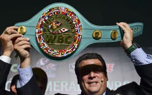 WBC санкционировал бой между Шакуром Стивенсоном и Исааком Крусом