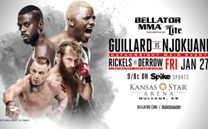 Файткард Bellator 171