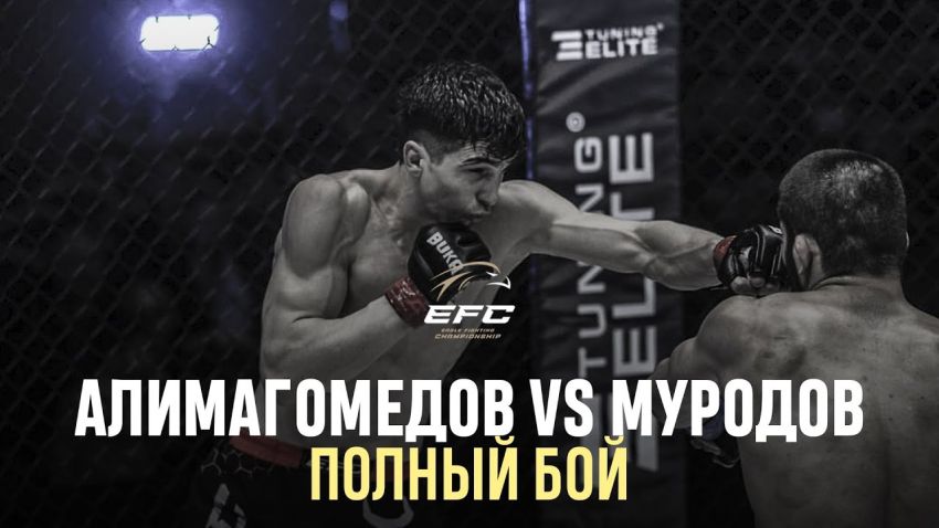 Видео боя Абдурахман Алимагомедов – Самандар Муродов EFC 34