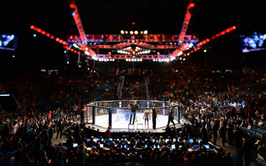 Турнир UFC в России состоится в этом году, но Нурмагомедов не примет в нем участие 