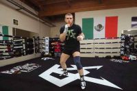 Является ли Канело Альварес одним из 10 лучших мексиканских боксёров?