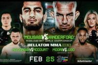 Результаты турнира Bellator 275