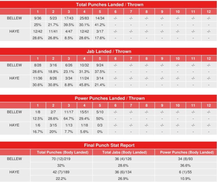 Беллью – Хэй 2: Статистика ударов CompuBox