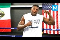 Luis Ortiz Boxing Training Highlights | Muscle Madness
