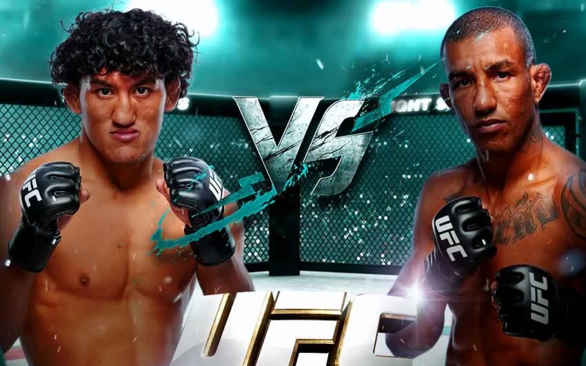 UFC Fight Night 289. Смотреть онлайн прямой эфир