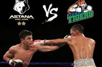 Видео боев турнира WSB: "Astana Arlans" - "Uzbek Tigers"