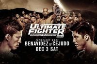 Прямая трансляция UFC The Ultimate Fighter 24 Finale Деметриус Джонсон - Тим Эллиотт, Джозеф Бенавидес - Генри Сехудо