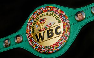В WBC хотели бы увидеть бои Поветкина с Уайлдером и Фьюри в 2016 году