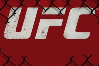 Расписание UFC 2019. Ближайшие турниры