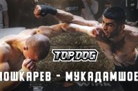 Видео боя Якин "TJ” Мукадамшоев - Иван "Охранник" Мошкарев TDFC 7