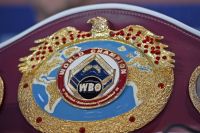 Обновился рейтинг WBO: Михалкин, Бурсак и Потапов — в топ-15 