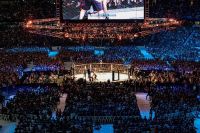 Медицинские отстранения после UFC 193 – Ронда выбывает на полгода