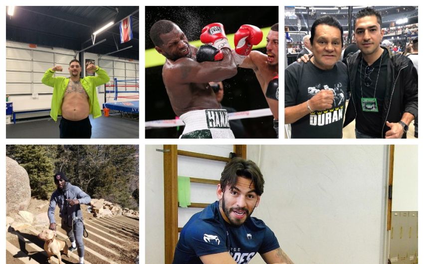 InstaBoxing 16 марта 2019: Хорхе Линарес вернулся в зал, Кроуфорд активно готовится к Хану