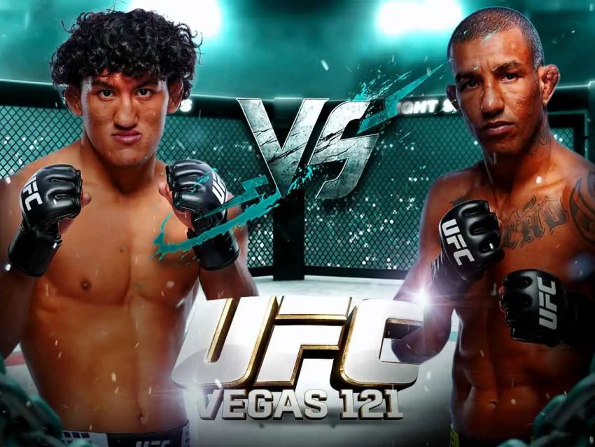 UFC Fight Night 289. Смотреть онлайн прямой эфир