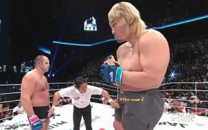 Сколько чемпионов UFC побил Фёдор?