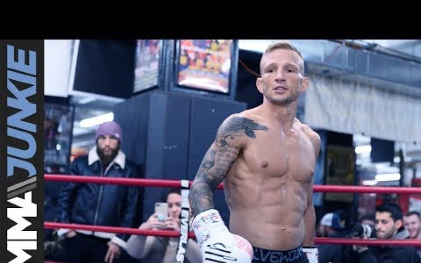 Открытая тренировка Ти Джея Диллашоу перед UFC Brooklyn